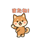 ゆるっとかわいい柴犬スタンプ（個別スタンプ：40）