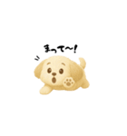 毎日使える！犬のかわいい日常スタンプ（個別スタンプ：8）
