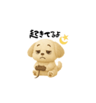 毎日使える！犬のかわいい日常スタンプ（個別スタンプ：18）
