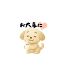 毎日使える！犬のかわいい日常スタンプ（個別スタンプ：37）