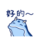 毎日使えるミゾレウミウシ【繁体字】（個別スタンプ：11）