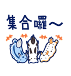 毎日使えるミゾレウミウシ【繁体字】（個別スタンプ：34）