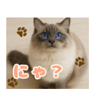 我が家の愛猫(妄想)（個別スタンプ：4）