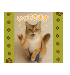 我が家の愛猫(妄想)（個別スタンプ：5）