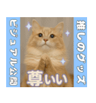 我が家の愛猫(妄想)（個別スタンプ：13）