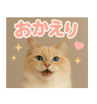 我が家の愛猫(妄想)（個別スタンプ：23）