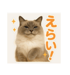 我が家の愛猫(妄想)（個別スタンプ：25）