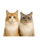 我が家の愛猫(妄想)（個別スタンプ：30）