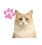 我が家の愛猫(妄想)（個別スタンプ：32）