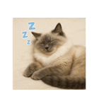 我が家の愛猫(妄想)（個別スタンプ：35）