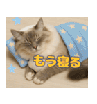 我が家の愛猫(妄想)（個別スタンプ：40）