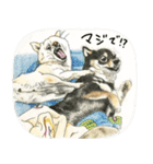 ここ柴スタンプその5（個別スタンプ：18）