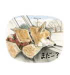 ここ柴スタンプその5（個別スタンプ：19）