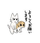 しかるねこ32（うごく）（個別スタンプ：7）