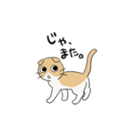しかるねこ32（うごく）（個別スタンプ：13）
