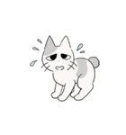 しかるねこ32（うごく）（個別スタンプ：15）