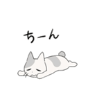 しかるねこ32（うごく）（個別スタンプ：16）