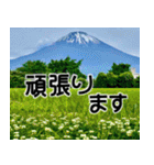 富士山と共に昭和100年（個別スタンプ：8）