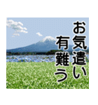 富士山と共に昭和100年（個別スタンプ：19）