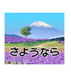 富士山と共に昭和100年（個別スタンプ：38）