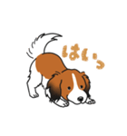 コーイケルホンディエのひとこと(日本語)（個別スタンプ：3）