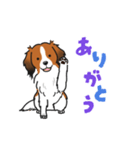 コーイケルホンディエのひとこと(日本語)（個別スタンプ：4）