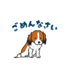 コーイケルホンディエのひとこと(日本語)（個別スタンプ：5）