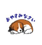 コーイケルホンディエのひとこと(日本語)（個別スタンプ：6）