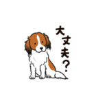 コーイケルホンディエのひとこと(日本語)（個別スタンプ：7）