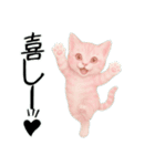 推し猫【桃】,,（個別スタンプ：6）