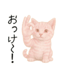 推し猫【桃】,,（個別スタンプ：8）