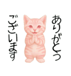 推し猫【桃】,,（個別スタンプ：11）