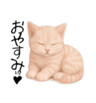推し猫【桃】,,（個別スタンプ：19）