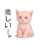 推し猫【桃】,,（個別スタンプ：32）