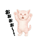 推し猫【桃】,,（個別スタンプ：40）