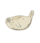 日常に添えるアザラシ(文字少なめver)（個別スタンプ：21）