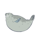 日常に添えるアザラシ(文字少なめver)（個別スタンプ：27）