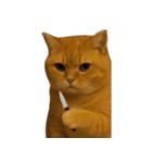 猫と黄色いおてて（個別スタンプ：8）