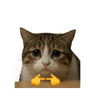 猫と黄色いおてて（個別スタンプ：9）