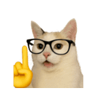 猫と黄色いおてて（個別スタンプ：12）
