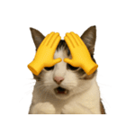 猫と黄色いおてて（個別スタンプ：13）