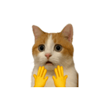猫と黄色いおてて（個別スタンプ：15）