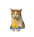猫と黄色いおてて（個別スタンプ：17）