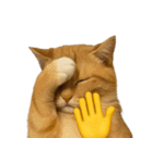 猫と黄色いおてて（個別スタンプ：21）