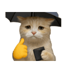 猫と黄色いおてて（個別スタンプ：25）