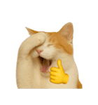 猫と黄色いおてて（個別スタンプ：28）