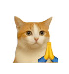 猫と黄色いおてて（個別スタンプ：29）