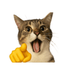 猫と黄色いおてて（個別スタンプ：33）