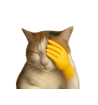 猫と黄色いおてて（個別スタンプ：34）