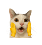 猫と黄色いおてて（個別スタンプ：40）